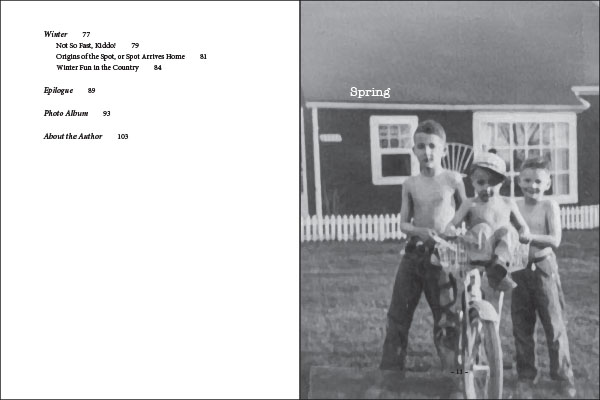 Wait Till Your Father Gets Home by Steven P. Hazlett