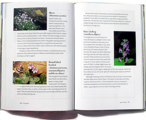 page from Favorite Wildflower Walks in Georgia by Hugh Nourse and Carol Nourse