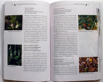 page from Gardening 
        with the Native Plants of Tennessee: the Spirit of Place by Margie Hunter