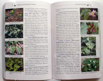 page from Gardening 
        with the Native Plants of Tennessee: the Spirit of Place by Margie Hunter