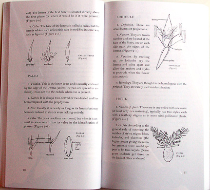 page from How to Identify Grasses and Grasslike Plants by H.D. Harrington